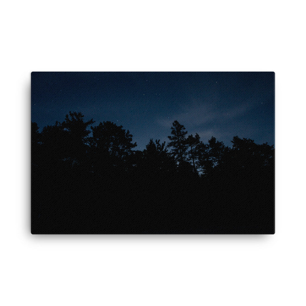 Michigan Night Canvas